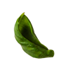 Vacter Image